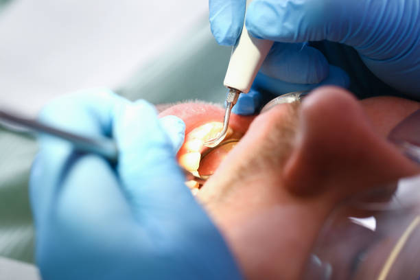 Best Emergency Cosmetic Dentistry in Portland, MI